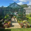 youngskitchengarden