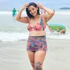 drifanecolima