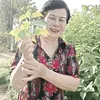 hoangthily234