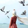 nourgaber733