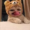 le_hieu1238
