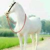 gurtejsahota09