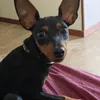 melyprince00