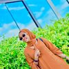 qalbiwacney3