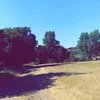 robinsacha22330