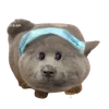 kapapoo0015