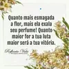 jorgesales329