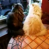 dori_ana26
