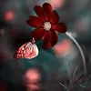 rlxxabdoul