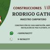 wwwtintok.rodrigocarpint