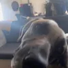 maddiekv02