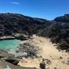 rovercookie