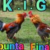 edyrodriguez259