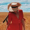 thelilyguide