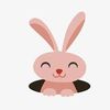 wabbitpink