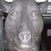 bumbaciartt