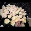 aliya_brilliant