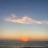 mariesauvage5