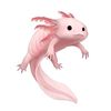 positive_axolotl