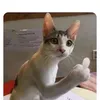 pha_mhuyen9