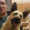 sjchongvr