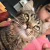 tiadiva_