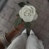 abi_ravi_