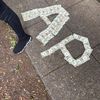 bando.ap