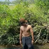 badboiz32