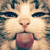 lilith_f12