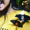 hey__june