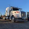 house_haulin_peterbilt