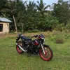 bemboy.02
