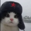 _mppppppp