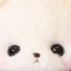 strawberrybits