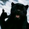mr_rembouu