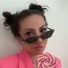 agneshollain