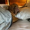 userlaurie29