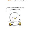 wafaaahmedali5