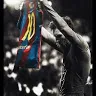 viscabarca._