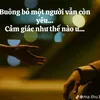 dangquynh19