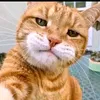 oyen_sikalem