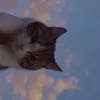 its_just_y