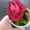 ahmad12__3