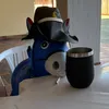 dudusimoesr