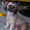 furparents_life