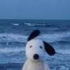 heroofrice