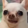 guusje.e.b