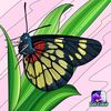 flyrobinfly3