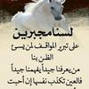 alielmas3ody